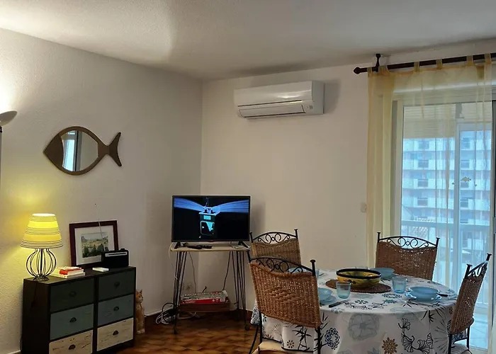 Apartment T2 Lumineux Au Port, Climatisation, Loggia Avec Vue, Parking Inclus - Fr-1-696-93 *